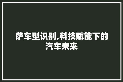 萨车型识别,科技赋能下的汽车未来