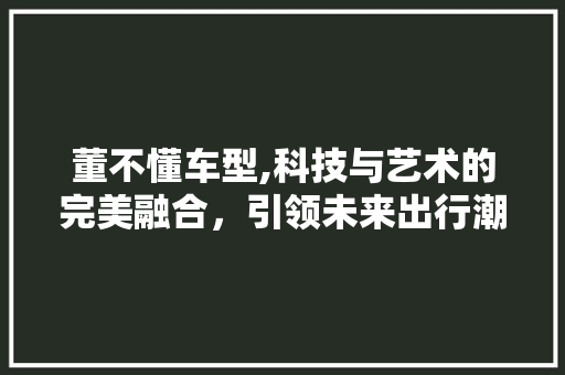 董不懂车型,科技与艺术的完美融合，引领未来出行潮流