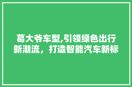 葛大爷车型,引领绿色出行新潮流，打造智能汽车新标杆