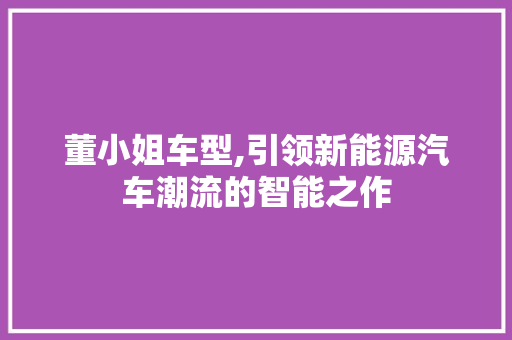 董小姐车型,引领新能源汽车潮流的智能之作