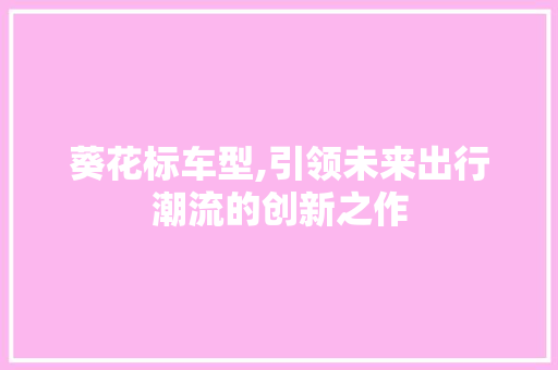 葵花标车型,引领未来出行潮流的创新之作