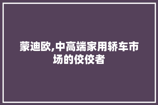 蒙迪欧,中高端家用轿车市场的佼佼者