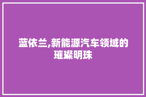 蓝依兰,新能源汽车领域的璀璨明珠