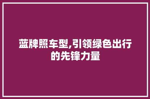 蓝牌照车型,引领绿色出行的先锋力量