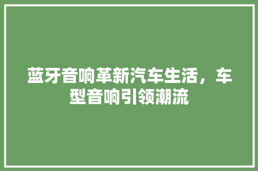 蓝牙音响革新汽车生活，车型音响引领潮流