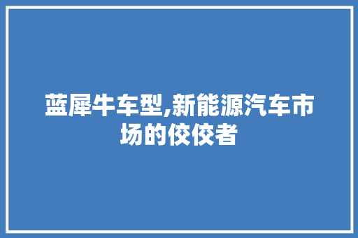 蓝犀牛车型,新能源汽车市场的佼佼者