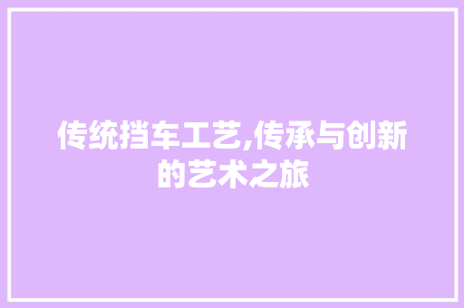 传统挡车工艺,传承与创新的艺术之旅