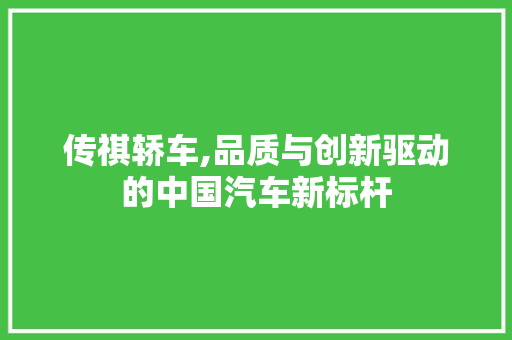 传祺轿车,品质与创新驱动的中国汽车新标杆