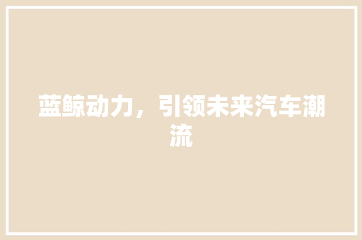 蓝鲸动力，引领未来汽车潮流