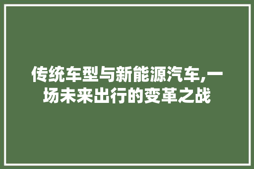 传统车型与新能源汽车,一场未来出行的变革之战