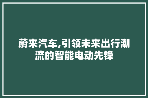 蔚来汽车,引领未来出行潮流的智能电动先锋