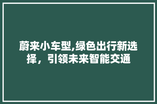 蔚来小车型,绿色出行新选择，引领未来智能交通