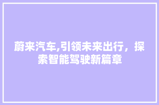 蔚来汽车,引领未来出行，探索智能驾驶新篇章