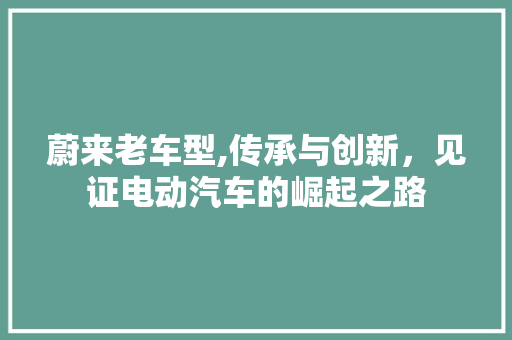 蔚来老车型,传承与创新，见证电动汽车的崛起之路 汽车配件