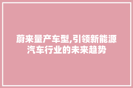 蔚来量产车型,引领新能源汽车行业的未来趋势
