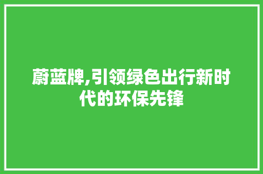 蔚蓝牌,引领绿色出行新时代的环保先锋 蓄电池配件