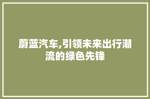 蔚蓝汽车,引领未来出行潮流的绿色先锋
