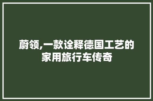 蔚领,一款诠释德国工艺的家用旅行车传奇