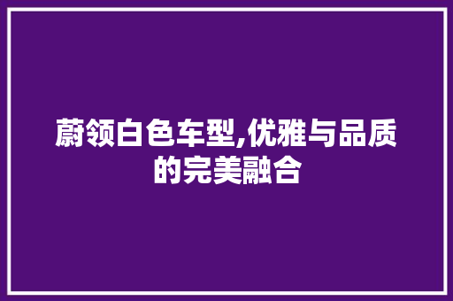 蔚领白色车型,优雅与品质的完美融合