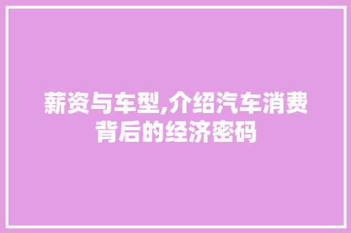 薪资与车型,介绍汽车消费背后的经济密码