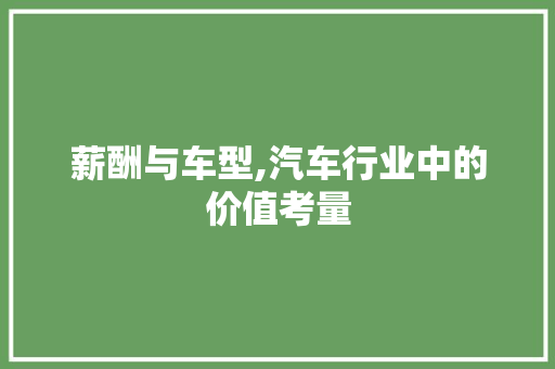 薪酬与车型,汽车行业中的价值考量