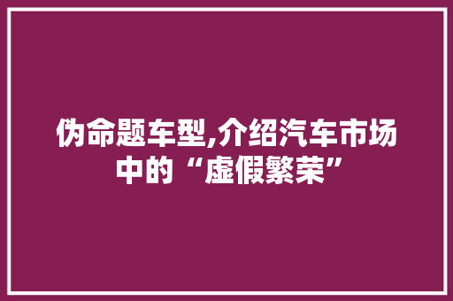 伪命题车型,介绍汽车市场中的“虚假繁荣”