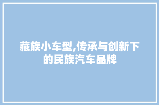 藏族小车型,传承与创新下的民族汽车品牌
