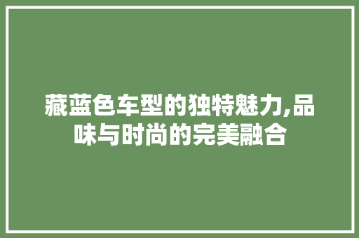 藏蓝色车型的独特魅力,品味与时尚的完美融合