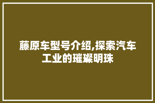 藤原车型号介绍,探索汽车工业的璀璨明珠