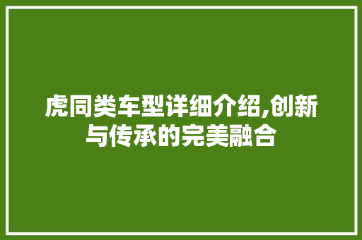 虎同类车型详细介绍,创新与传承的完美融合