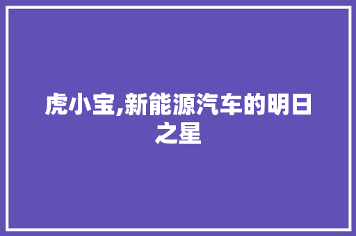 虎小宝,新能源汽车的明日之星