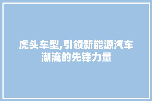 虎头车型,引领新能源汽车潮流的先锋力量 车灯配件