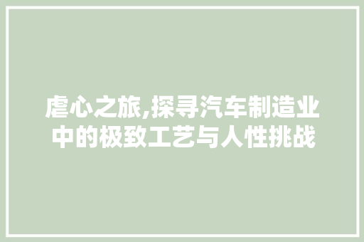 虐心之旅,探寻汽车制造业中的极致工艺与人性挑战