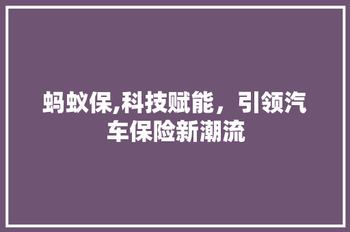 蚂蚁保,科技赋能，引领汽车保险新潮流