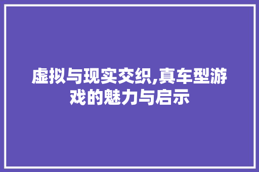 虚拟与现实交织,真车型游戏的魅力与启示