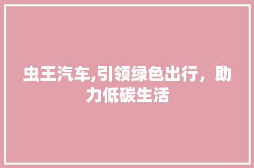 虫王汽车,引领绿色出行，助力低碳生活