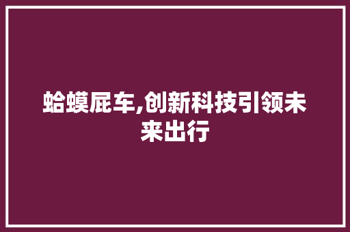 蛤蟆屁车,创新科技引领未来出行