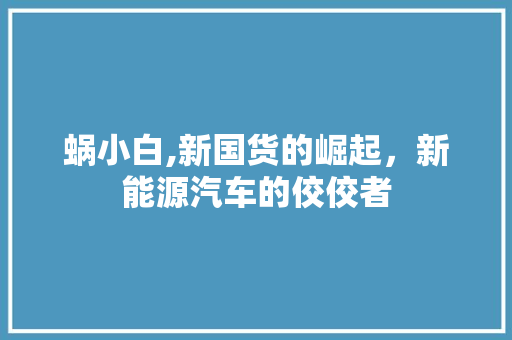 蜗小白,新国货的崛起，新能源汽车的佼佼者