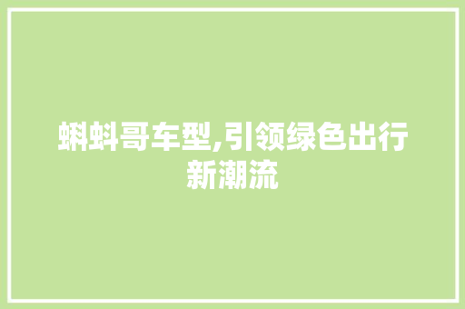 蝌蚪哥车型,引领绿色出行新潮流