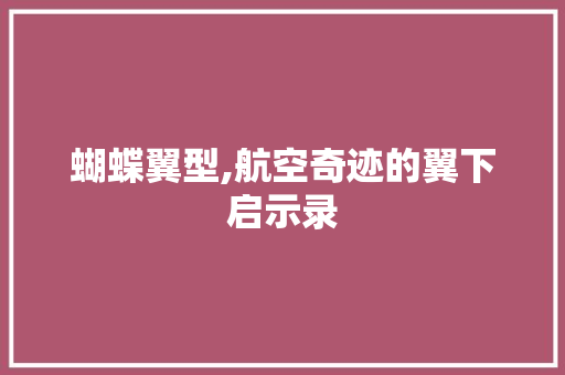 蝴蝶翼型,航空奇迹的翼下启示录
