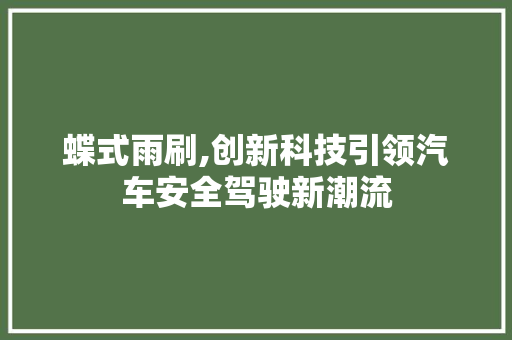 蝶式雨刷,创新科技引领汽车安全驾驶新潮流