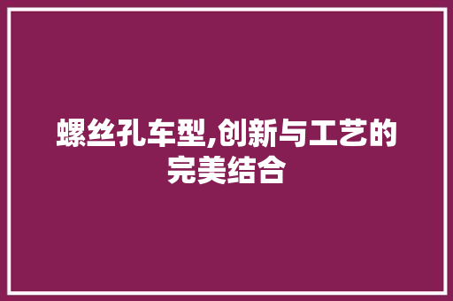 螺丝孔车型,创新与工艺的完美结合