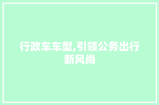 行政车车型,引领公务出行新风尚