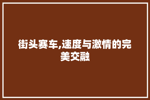 街头赛车,速度与激情的完美交融