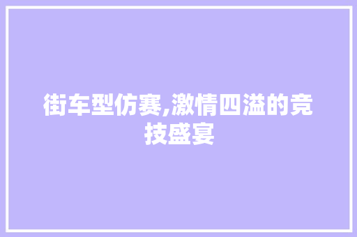 街车型仿赛,激情四溢的竞技盛宴