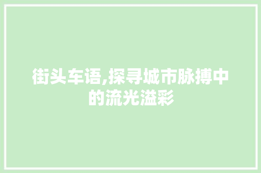 街头车语,探寻城市脉搏中的流光溢彩