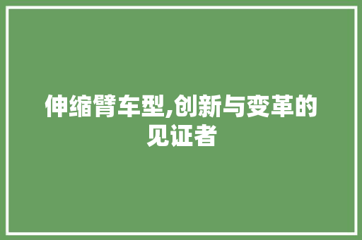伸缩臂车型,创新与变革的见证者