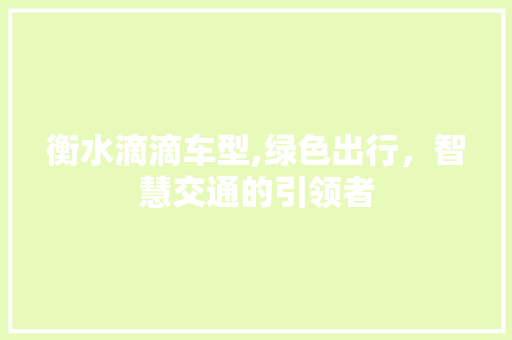衡水滴滴车型,绿色出行，智慧交通的引领者