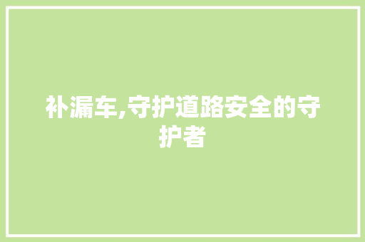 补漏车,守护道路安全的守护者
