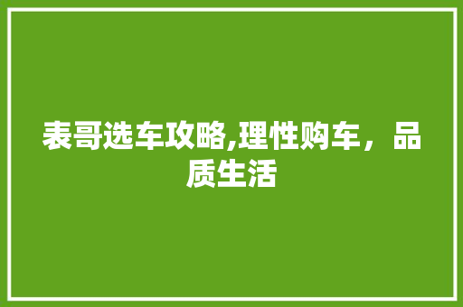 表哥选车攻略,理性购车，品质生活
